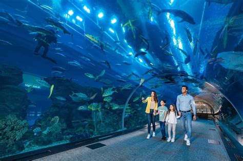 Obrovské akvárium v Dubai Mall