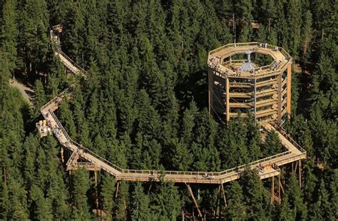 Chodník korunami stromov v Bachledovej doline