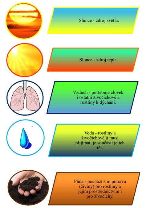 Päť faktorov ovplyvňujúcich skladovanie čaju: svetlo, teplo, vzduch, vlhkosť, pachy