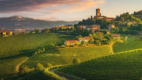 Región Piemonte a pestovanie lieskovcov