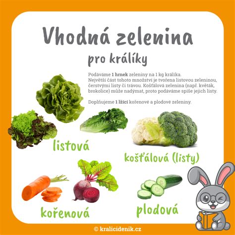 Zelenina vhodná pri zápaloch žalúdka