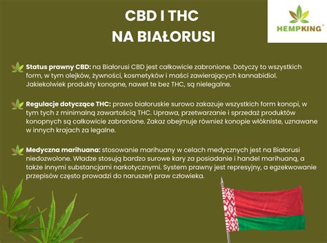 Infografika pôsobenia THC na hypotalamus