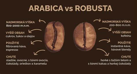 Rozdiel medzi zrnami Arabiky a Robusty