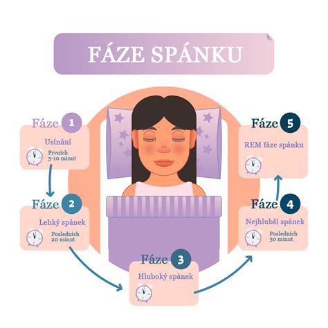 Fázy spánku - schéma