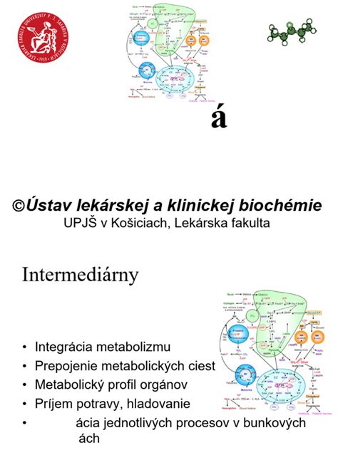 Metabolizmus fruktózy v pečeni