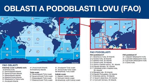 Mapa: Hlavné oblasti lovu morských rýb