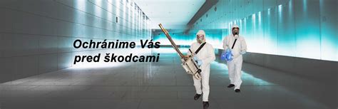Chemické ošetrenie a balenie banánov po zbere