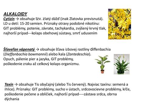 Schéma nedostatku živín v akváriových rastlinách