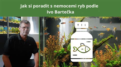Grafické porovnanie správania rýb pri hrabaní v piesku