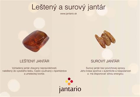 Infografika: Rozdiel medzi celozrnným a tmavým chlebom