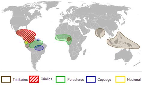 Mapa hlavných oblastí pestovania kakaa