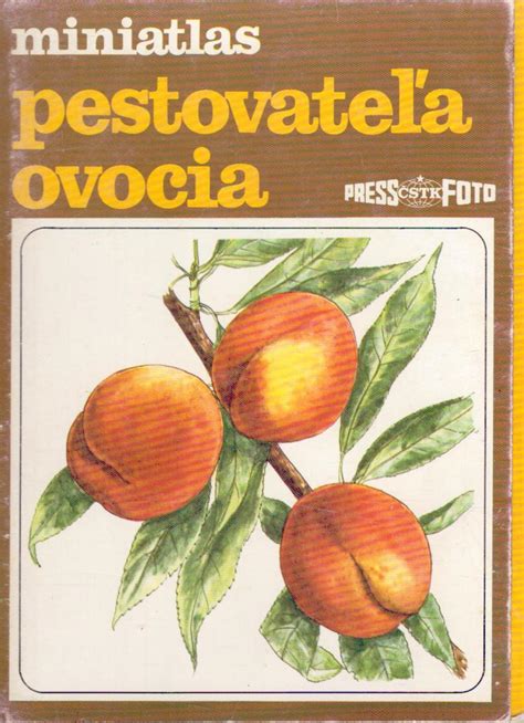 Ilustrácia ručného lisovania ovocia