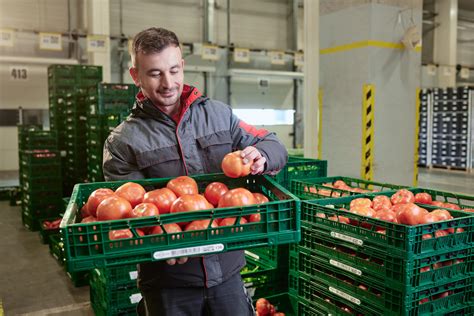 Sklad ovocia a zeleniny s paletami plnými produktov