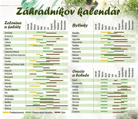 Schéma botanickej klasifikácie zeleniny a ovocia