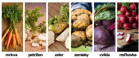 Zoznam koreňovej zeleniny s príkladmi