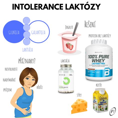 Schéma trávenia laktózy a vplyv enzýmu laktáza