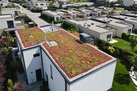 Zelená strecha Starej tržnice ako ekologický projekt