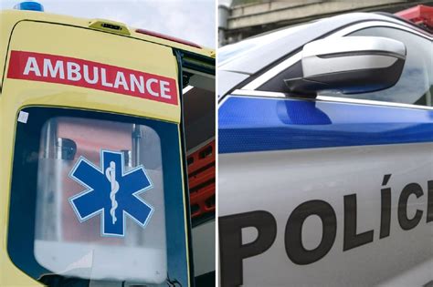 Ilustračné foto slivkového nákypu