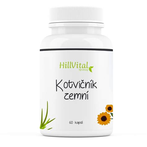 Kotvičník zemný - Bylina na podporu svalovej hmoty
