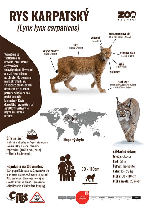 Infografika s obrázkami nebezpečných potravín z celého sveta