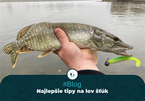 Veľký streamer na lov šťúk