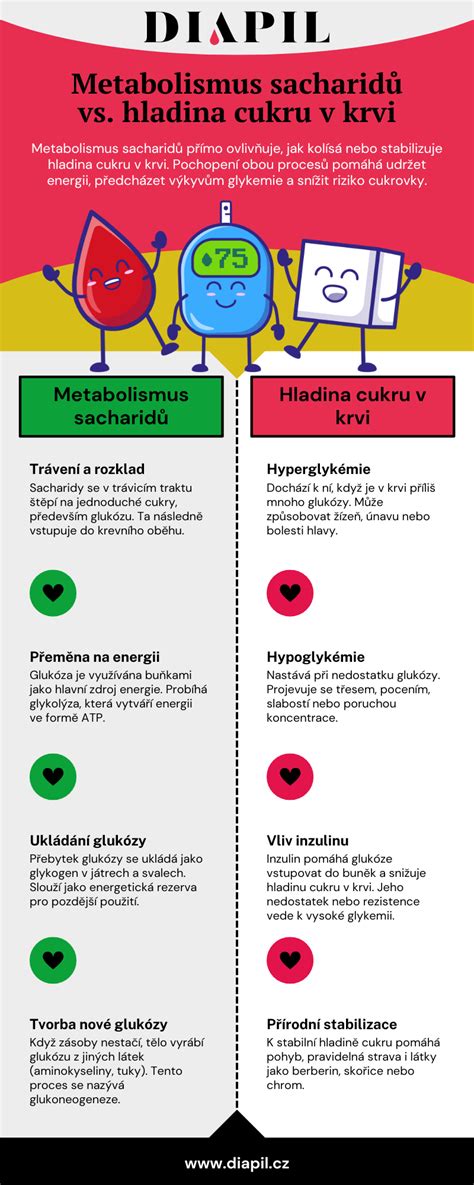 Infografika: Porovnanie obsahu cukru v bezlepkovom a bežnom chlebe