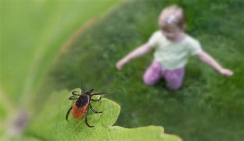 Ľudia rozprávajúci sa s empatiou a porozumením