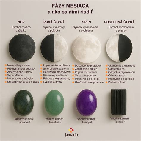 Infografika: Fázy spracovania mäsa v mäsovom závode