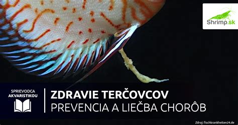 Infografika: Prevencia chorôb rýb