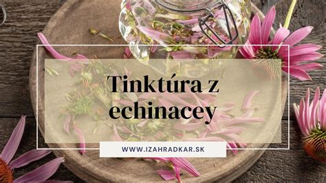Suroviny pre cesnakovú tinktúru