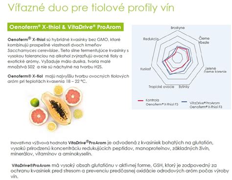 Priebeh kvasenia medoviny