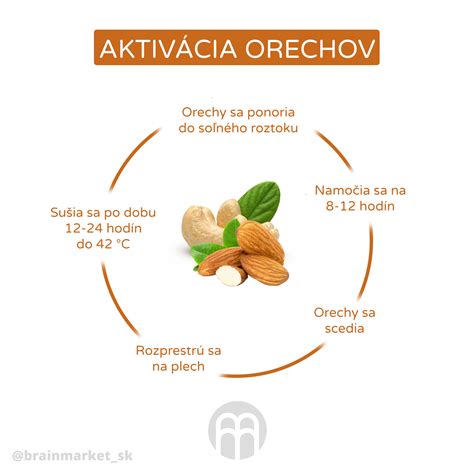 infografika o benefitoch mrkvy a orechov