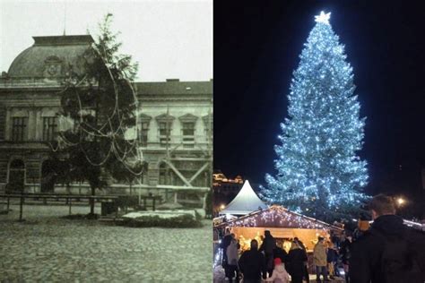 História vianočného kmeňa